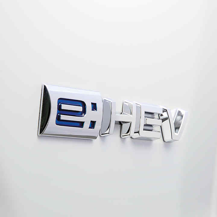 Close up of e:HEV logo on car body