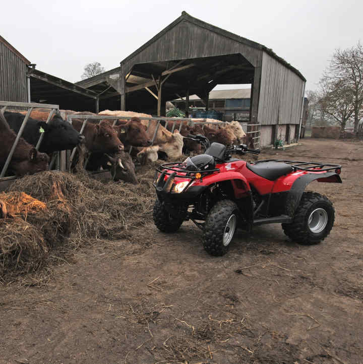 honda farm buggy