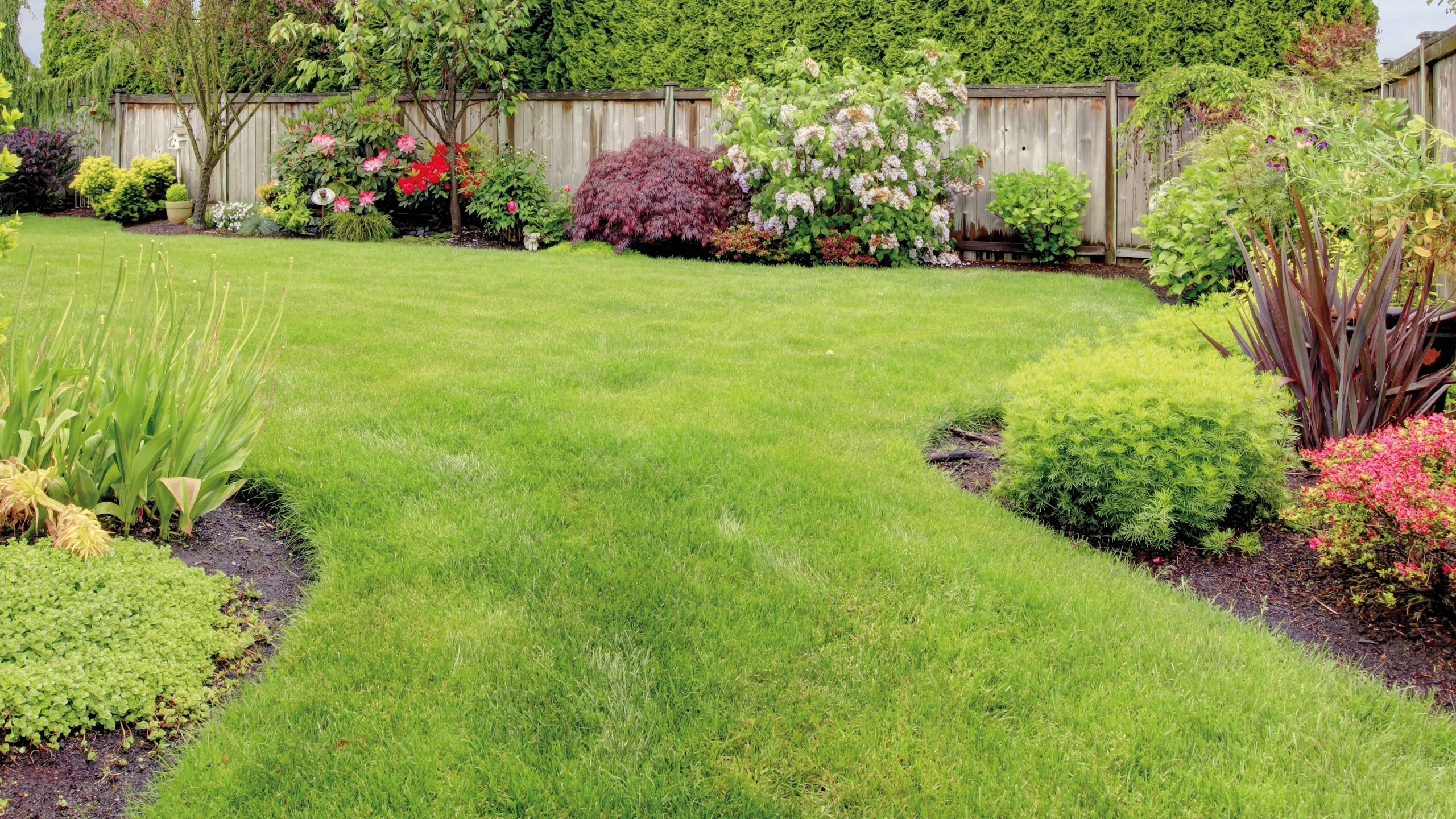 Honda Lawn and Garden - Enjoy the perfect lawn